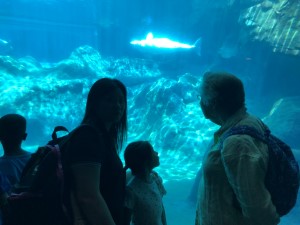 2023 08 22 Ugene and Uta Georgia Aquarium