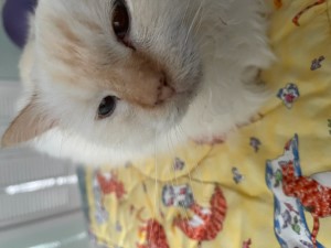 2023 07 27 Before First FIP shot
